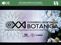 ABACo A.C. 2019. UAA.