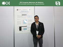 ABACo A.C. 2019. Serrano-Estrada. UAA.