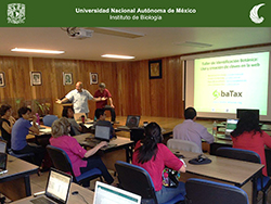 AbaTax. 2017. Murguía-Romero & Villaseñor-Ríos. IB, UNAM.